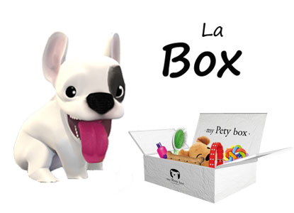 labox-pour-chien